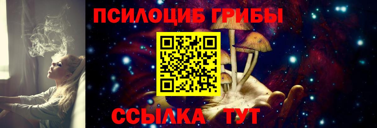 Псилоцибиновые грибы мицелий  Вход с VPN  Краснодар  Галлюциногенные грибы GOLDEN TEACHER 